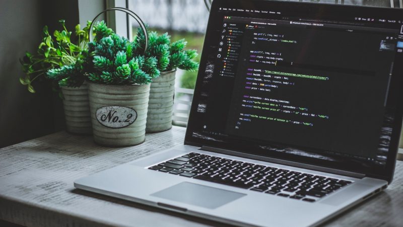 safar-safarov-MSN8TFhJ0is-unsplash (1)
